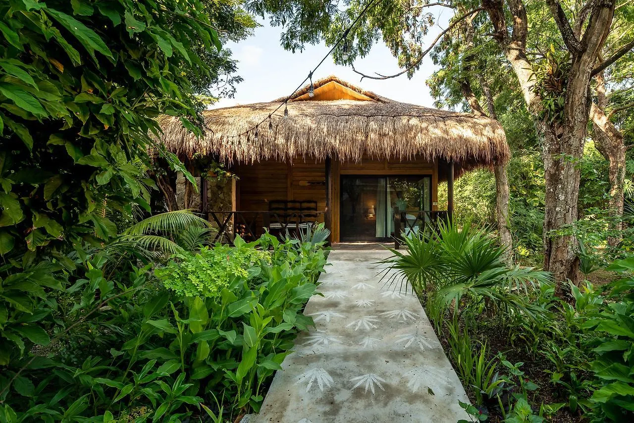 Appart hôtel Villas El Encanto Cozumel